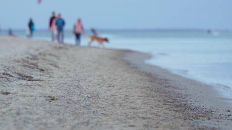 soft focus low down beach and ocean view of people and dog