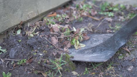 shovelling weeds and leaves in yard