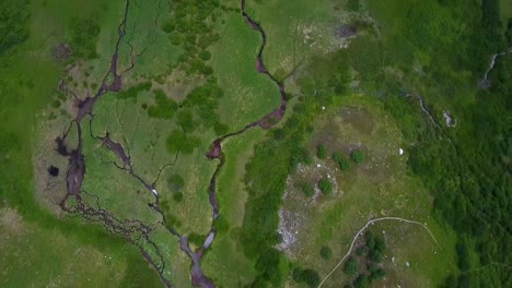 AERIAL:-Birds-eye-view-looking-down-at-water-streams-surrounded-by-greenery