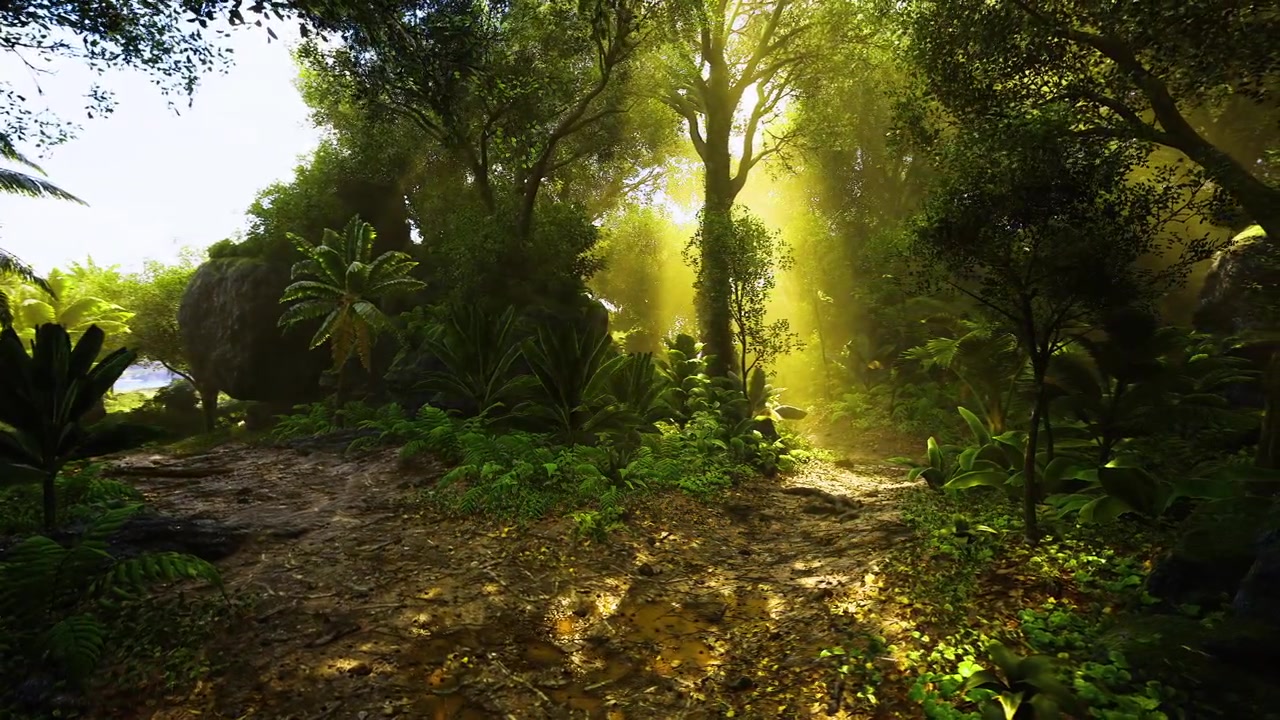 Percorso tortuoso nel sottobosco con luce solare filtrata e trame.