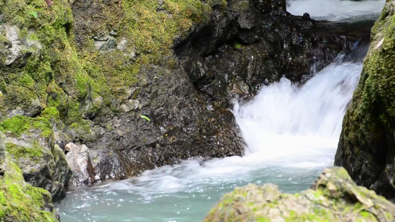 pequeña cascada de un arroyo turquesa en la selva de costa rica