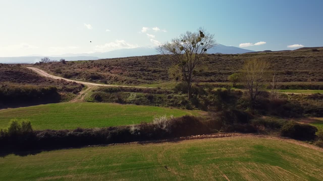 vista aérea de drones en españa a través del campo desde un árbol con nido hasta moncayo paisaje de montaña de nieve