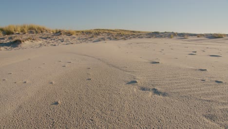 offshore sand dunes at the beach in summertime