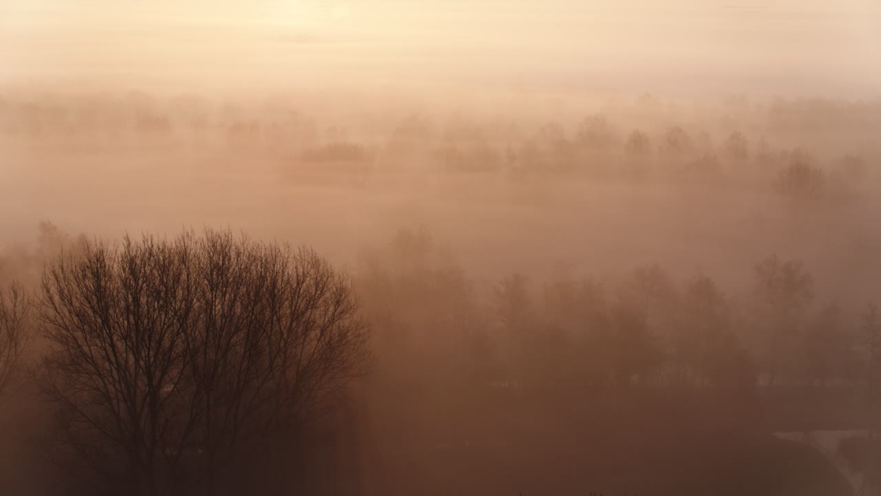 Sun shining through dense fog in rural forestry landscape, inspirational warm mood