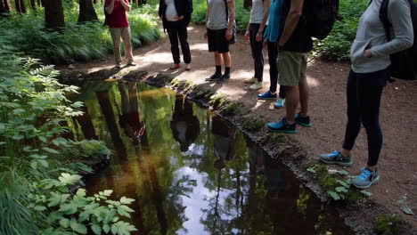 Group Hiking in a Forest by a Pond