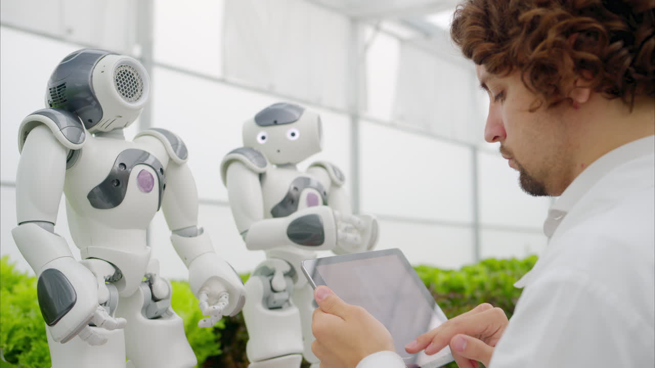 Laboratory technician in a white coat holding a tablet while analysing two humanoid robots in a greenhouse farm
