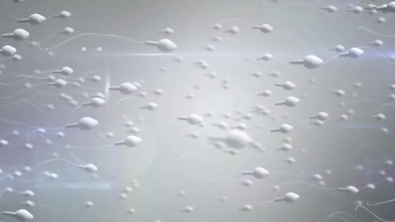 un óvulo en movimiento siendo fertilizado por espermatozoides