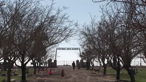 people walk around a cemetery and cars drive by