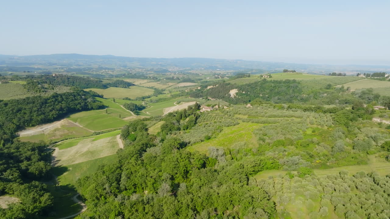 Aerial view rising over cypress trees and wild flowers in rural Tuscany