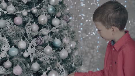 schoolboy-touches-gently-silver-Christmas-toys-on-tree
