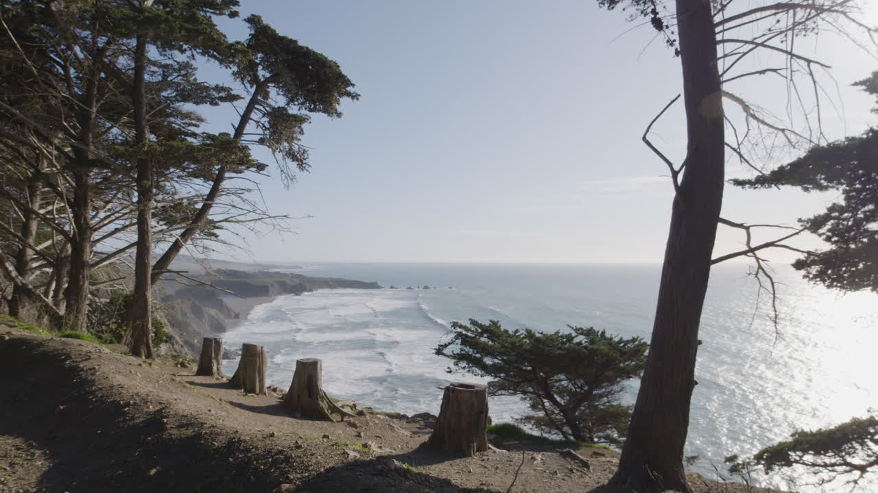 toma estacionaria de árboles y arbustos a lo largo del acantilado con olas rompiendo en el fondo ubicado en big sur california