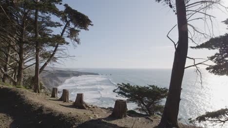 stationary shot of trees and bushes along cliff side with waves crashing in the background located in big sur california