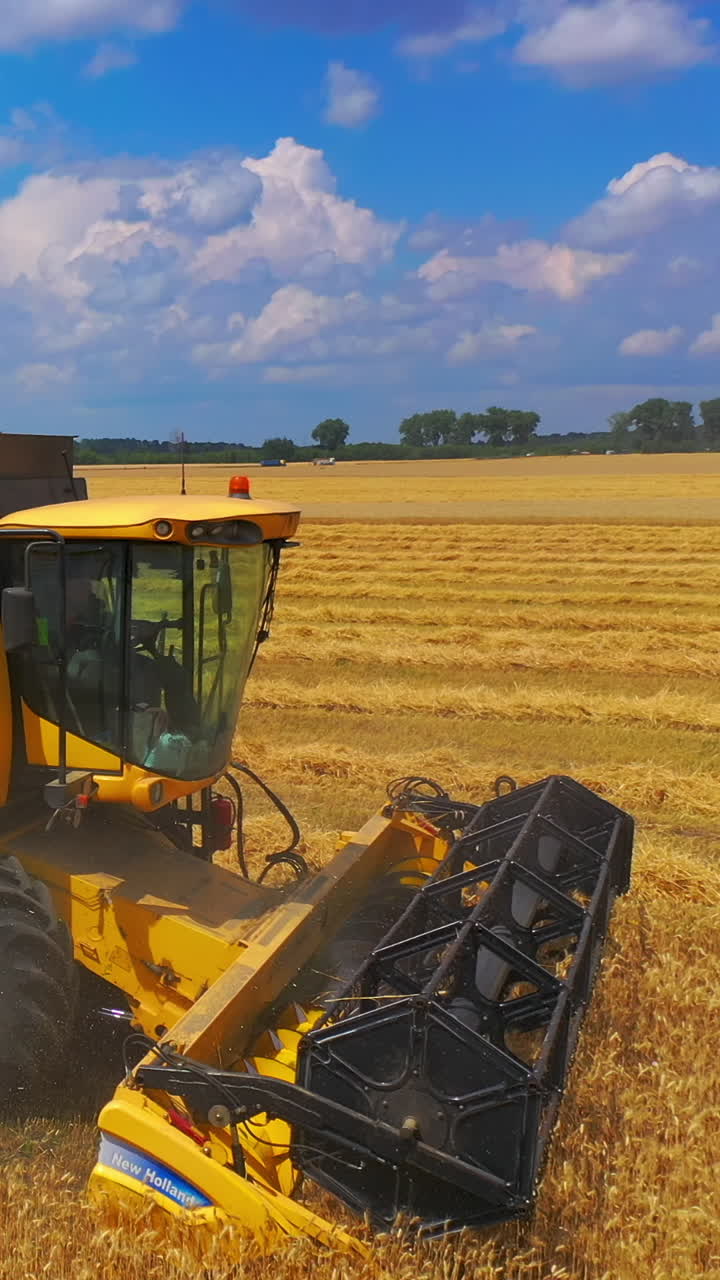 Harvester machine to harvest wheat field working. Combine harvester working on a wheat field. Vertical video
