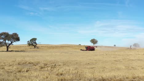 Ein-Landwirtschaftlicher-Mähdrescher-Durchschneidet-Ein-Kurzes-Feld-In-Parkes,-New-South-Wales,-Australien