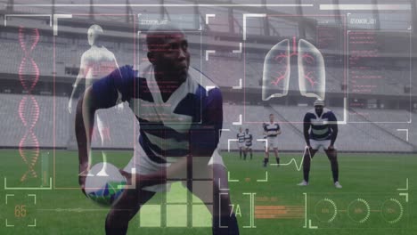 animación de la interfaz digital con el procesamiento de datos médicos sobre jugadores de rugby