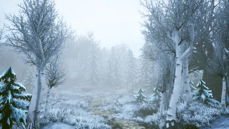 tormenta de invierno en un bosque en invierno