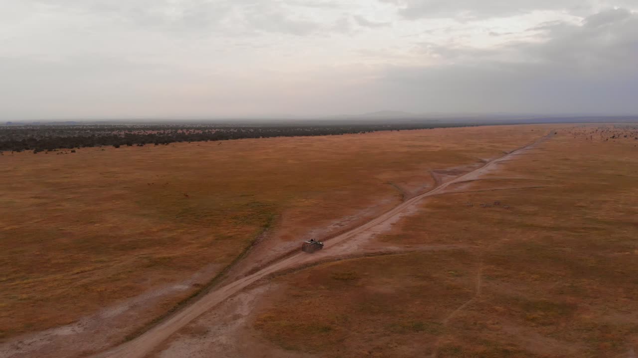 un juego de conducción-safari a través de ol pejeta, kenia
