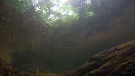 El-Parque-Nacional-Kaeng-Krachan-Es-El-Hogar-De-Muchos-Animales-Salvajes-Fantásticos-Y-Los-Arroyos-Son-Una-Fuente-De-Vida-De-Agua-Dulce-Para-Que-Los-Animales-Beban-Y-Los-Peces-Naden.