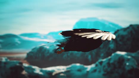 slow motion american bald eagle in flight over alaskan mountains