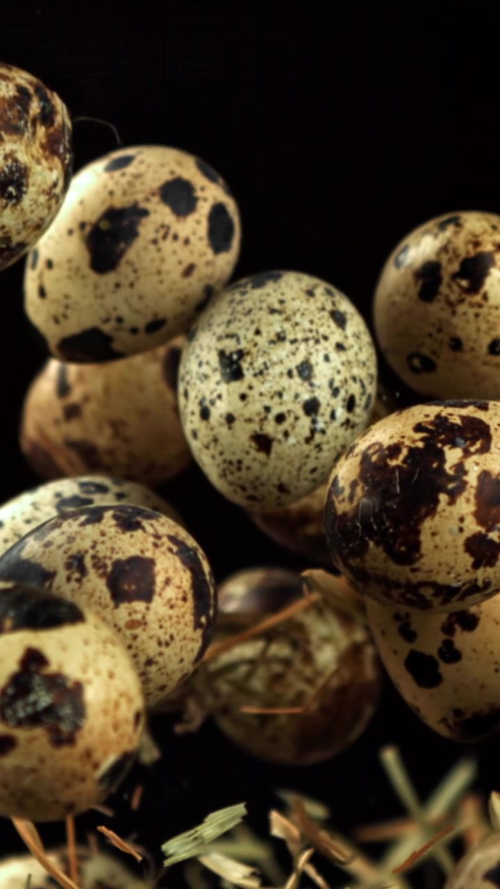 Quail Eggs Slowly Rising and Floating on a Black Background