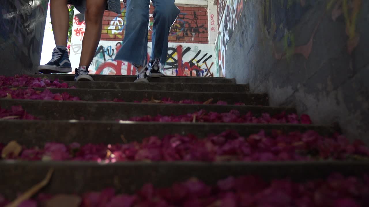 Due giovani che scendono una scalinata cittadina graffitata, coperta di bellissime foglie rosa.