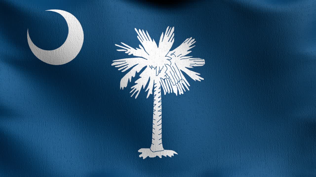 Seamless Loop 4K VDO. South Carolina state flag in The United States of America, USA, blowing in the wind isolated. Official patriotic abstract design. 3D rendering illustration of waving sign symbol.