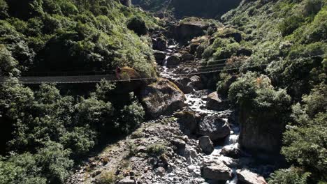 young woman walking on swing bridge at copland track, new zealand