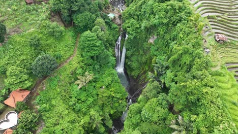 cascada de aling aling rodeada de selva en bali, indonesia