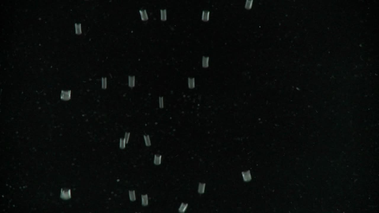 작은 기포가 검은 배경 위로 떠오른다