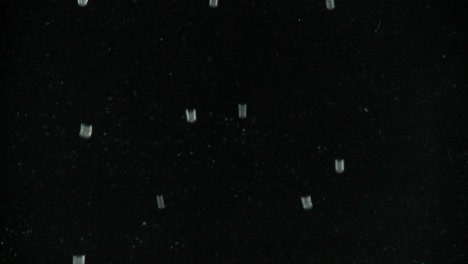 tiny air bubbles float up against a black background