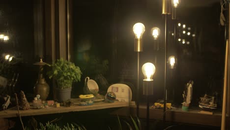 souvenirs and plants sit on cabin windowsill interior night