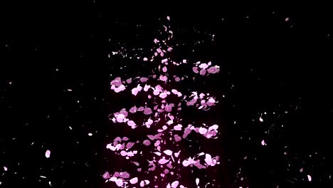 spiral shiny particle of cherry blossoms. sakura pattern. japanese cherry dancing. vortex from pink petals. abstract loop animation.