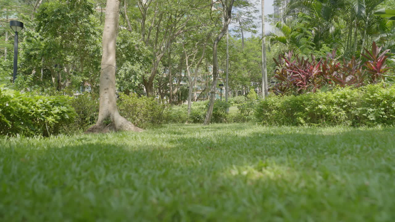 toma en movimiento de bajo ángulo de un hermoso parque pacífico en hong kong