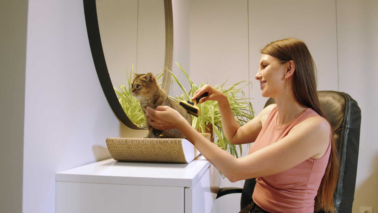 작은 고양이 를 돌보는 여자