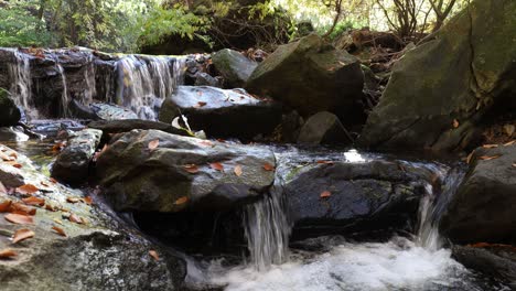 Un-Arroyo-De-Montaña-Fresco-Y-Claro-Cae-En-Cascada-Sobre-Y-Alrededor-De-Rocas-Mojadas-Con-Coloridas-Hojas-De-Otoño