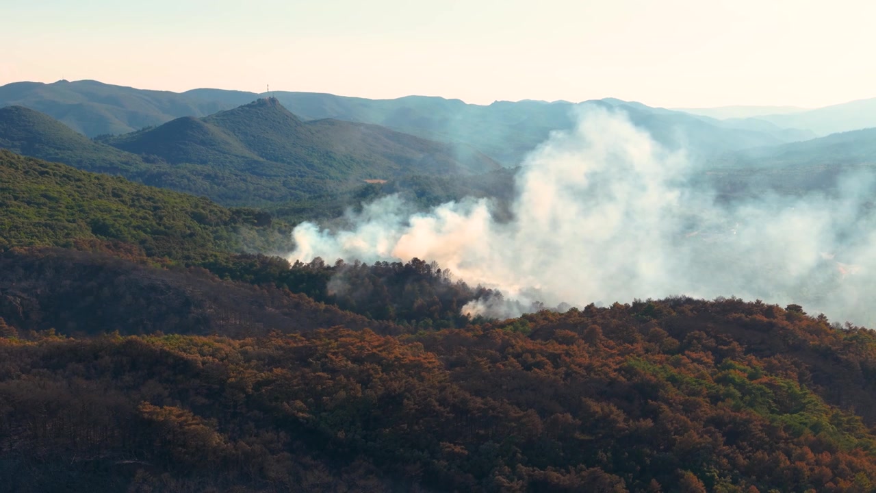 Fumo bianco denso si sprigiona da un incendio boschivo mentre un drone si allontana lentamente
