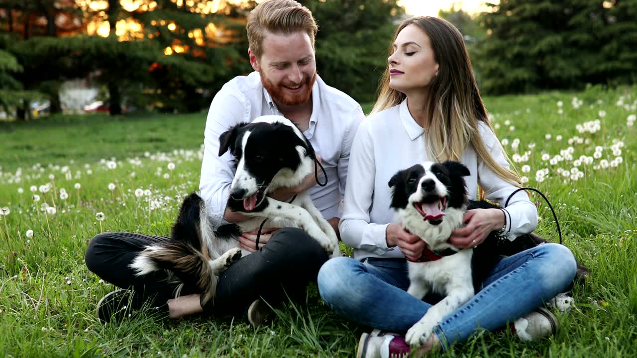 hermosa pareja acurrucada y paseando perros al aire libre