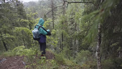 rainy hike in the woods