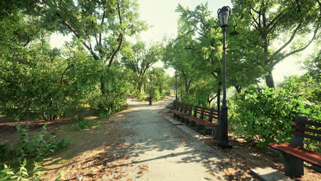 park pathway on a sunny day