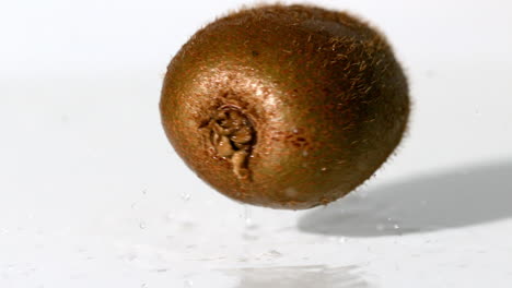 Kiwi-falling-on-wet-white-background