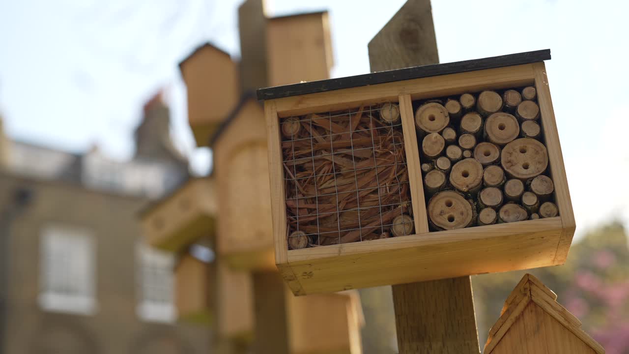 Slow motion close-up shot of a wooden bees house