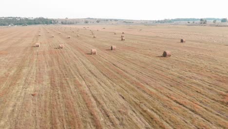 campo de granja de verano con balas de heno. pajares en el campo de agricultura de trigo después de la cosecha. tierras de cultivo rurales