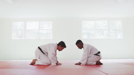 judokas leaning in order to greet each other