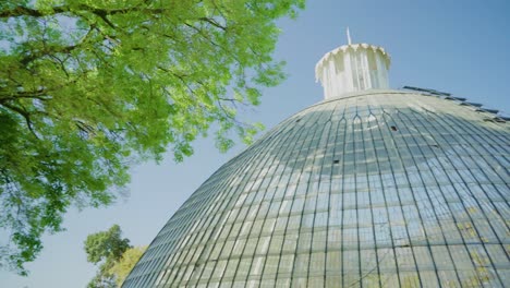 park glass dome surrounded by green trees