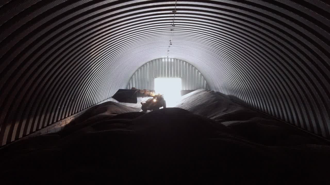 굴곡 된 금속 지붕 아래에서 씨을 이동하는 로더가있는 선플라워 씨 가공 공장의 인테리어 - 작업 공간과 장비를 강조하는 자연 빛의 산업 환경.