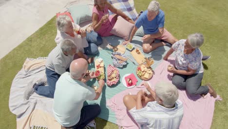 high angle of happy diverse senior friends having picnic in sunny garden, unaltered, in slow motion