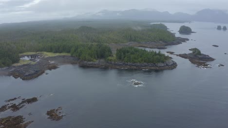 aerial shot of the beautiful landscape of the native american island on an overcast day, annette island southern alaska