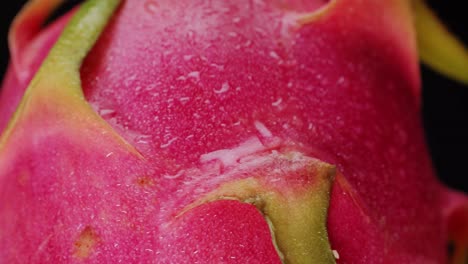 close-up of dragon fruit