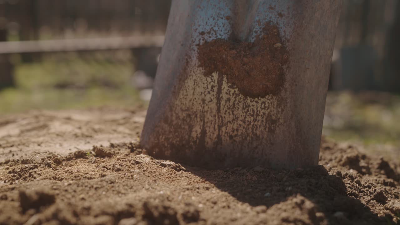 A person holding a shovel outdoors with bare trees in the background under a bright sky