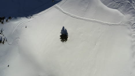 Vista-Aérea-Mirando-Hacia-Abajo-Sobre-Un-Pino-En-La-Cima-De-Una-Montaña-Nevada-Mientras-Baja-Hacia-Ella,-En-Los-Alpes-Franceses-En-Invierno